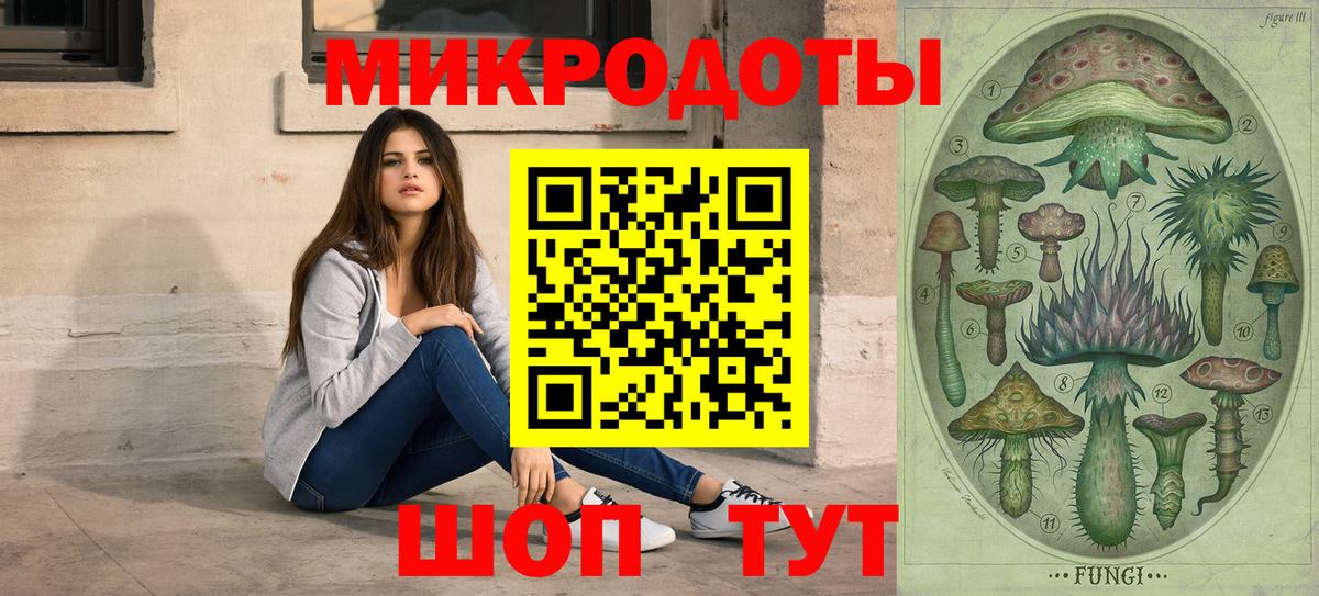 Псилоцибиновые грибы Psilocybe  Вход с VPN  Верхняя Салда 