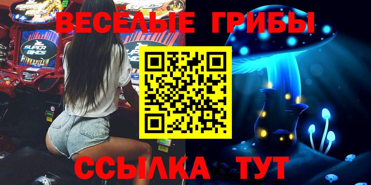 Псилоцибиновые грибы мицелий Верхняя Салда